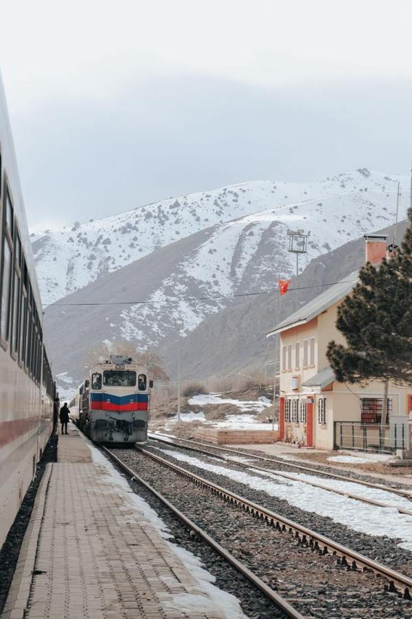 A train stands at a station below snow-covered mountains.
