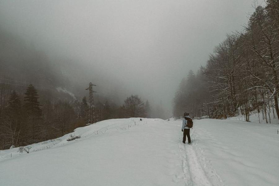 A person walks along a snowy path in fog.