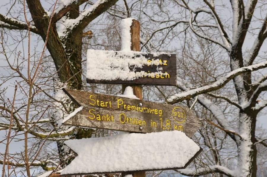 A snow-covered direction sign stands among wintry trees.