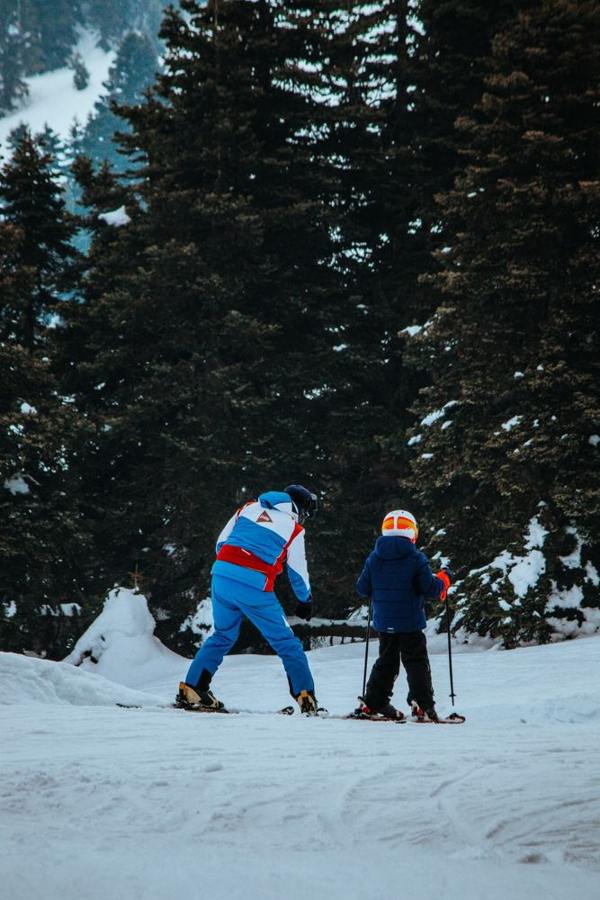 An adult and a child stand on skis in a snowy forest.