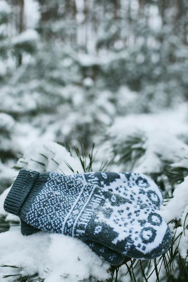 Blue mittens rest on a snow-covered conifer branch.