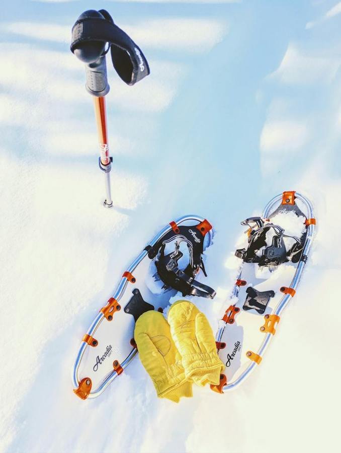 Yellow insulated mittens lie beside snowshoes and poles on snow.